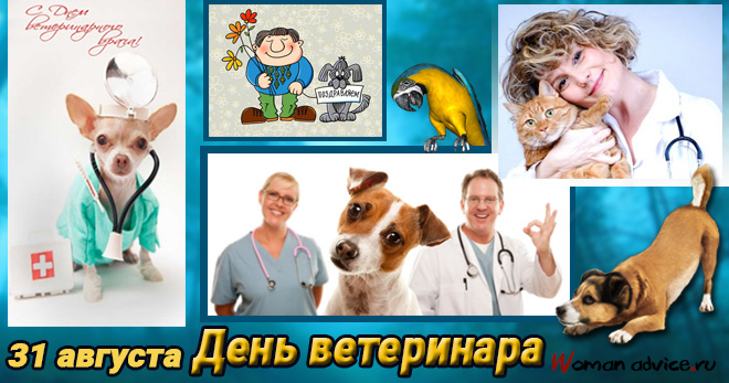 День ветеринара 2022 - открытка