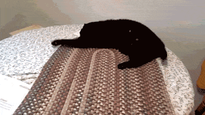 Кот падает со стола вместе со скатертью