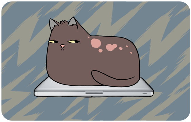 Кот сидит на ноутбуке