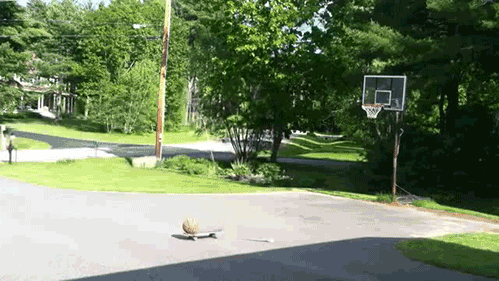Велосипедист попадает в баскетбольную корзину со скейта