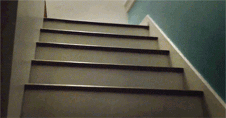 Мопс запрыгивает на лестницу