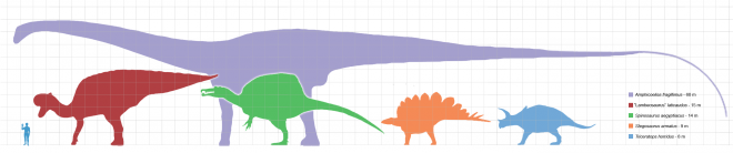 Самые гигантские динозавры, которые когда-либо были найдены – Амфицелии