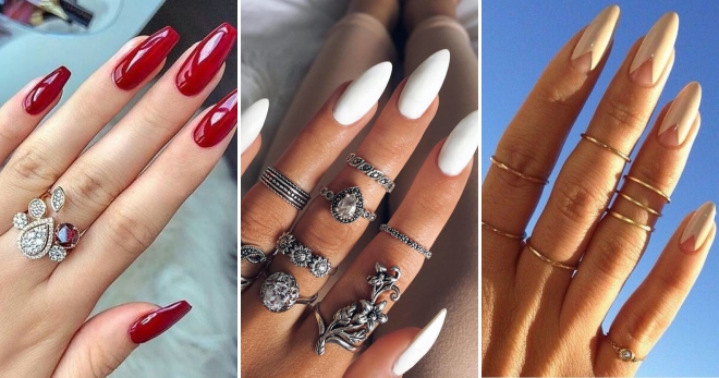 Manicure for long nails - 56 photo ideas of stylish design