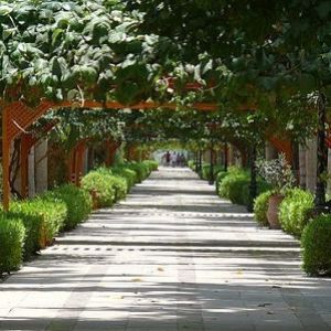 Ботанический сад Святого Антония