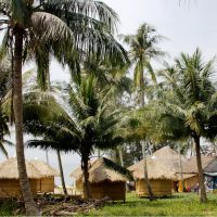 Бамбуковый остров