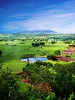 Танзания - сезон для отдыха