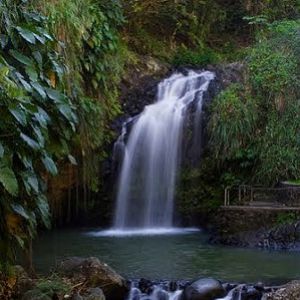 Водопад Маунт-Кармель
