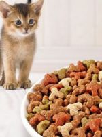 Какой сухой корм лучше для кошек?