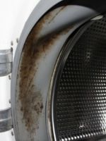 Плесень в стиральной машине – как избавиться?