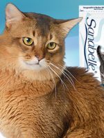 Корм Бош для кошек - как правильно организовать питание?