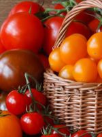 Чем подкормить помидоры для хорошего урожая?