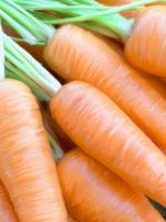 Чем подкормить морковь для хорошего урожая?