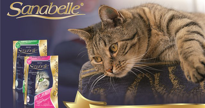 Корм для кошек Санабель (Sanabelle): виды, состав, нормы кормления
