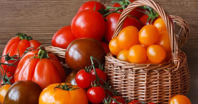 Чем подкормить помидоры для хорошего урожая?