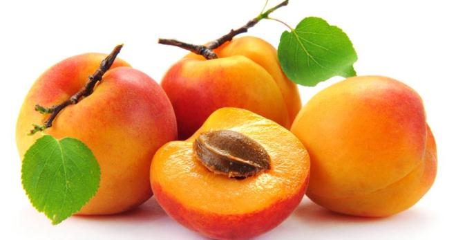 Как вырастить абрикос из косточки - правила, которые сделают процесс успешным