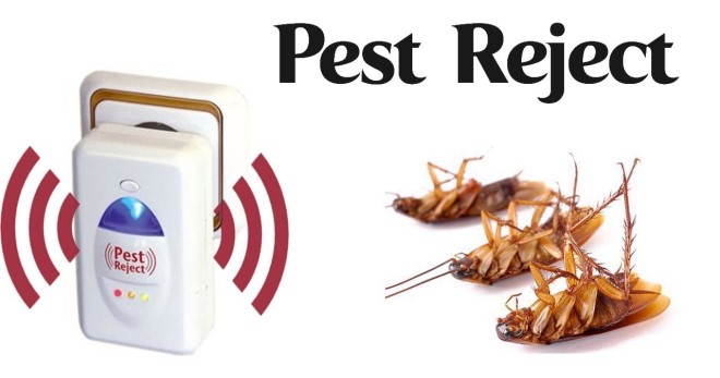 Отпугиватель тараканов - какой вид устройства самый эффективный?
