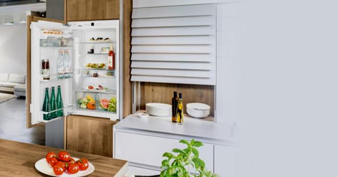 Однокамерный холодильник без морозилки - основные характеристики компактной бытовой техники