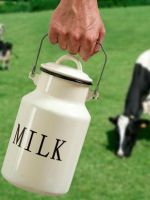Парное молоко - польза и вред