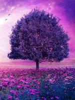 Что означает фиолетовый цвет?