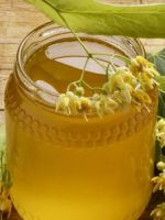 Липовый мед – лечебные свойства и противопоказания
