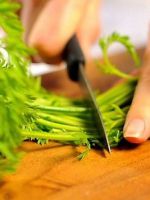 Морковная ботва – лечебные свойства и противопоказания