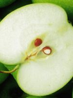 Семечки яблок - польза и вред