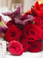 Свадьба в красном цвете – оформление