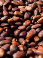 Чем полезны кедровые орехи для красоты и здоровья?