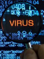 Что такое компьютерный вирус, классификация компьютерных вирусов и защита от них