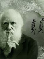 Теория Дарвина - доказательства и опровержение теории происхождения человека