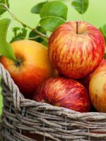 Разгрузочный день на яблоках - 9 самых эффективных вариантов