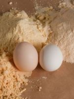 Яичный протеин - эффективность и правила приема