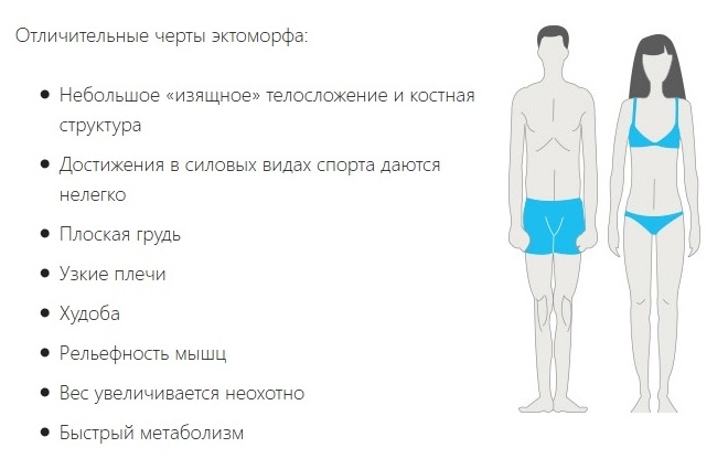 эктоморфный тип телосложения