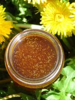 Мед из одуванчиков – рецепт