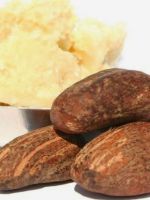 Масло какао – свойства и применение