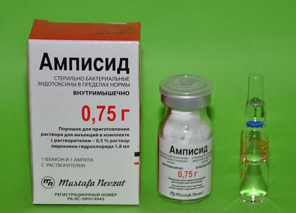 Ампициллин − аналоги