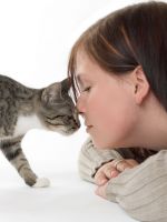 Как избавиться от аллергии на кошек?