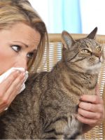 Как проявляется аллергия на кошек?