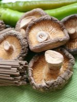 Фунготерапия – лечение грибами