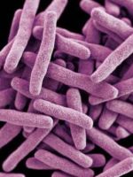 Палочка Коха – как победить опасную бактерию?