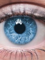 Открытоугольная глаукома – как избежать потери зрения?