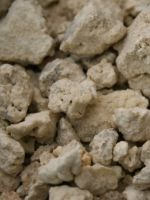 Каменное масло – лечебные свойства и все секреты применения