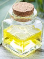 Масло эвкалипта – свойства и применение для красоты и здоровья