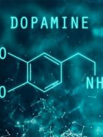 Дофамин – что это такое, как определить уровень гормона и чем можно корректировать?