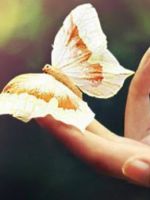 Буллезный эпидермолиз – можно ли вылечить болезнь бабочки у человека?