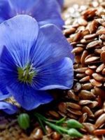 Семена льна –  8 рецептов эффективного применения