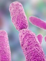 Klebsiella pneumoniae – что это такое, чем опасна бактерия и как от нее избавиться?