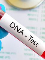 Тест ДНК – для чего назначают и как проводят исследование?