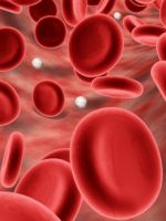 Сколько литров крови в человеке, и какая кровопотеря может стать опасной для жизни?