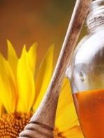 Подсолнечный мед – полезные свойства недооцененного продукта и секреты применения